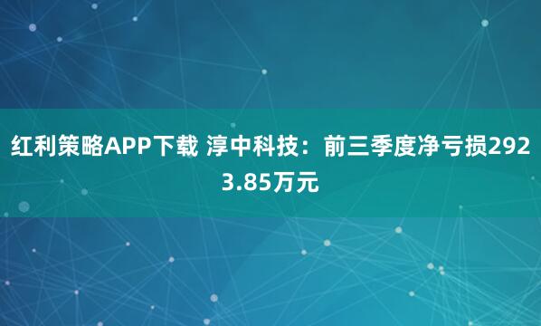 红利策略APP下载 淳中科技：前三季度净亏损2923.85万元