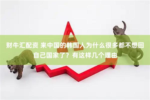 财牛汇配资 来中国的韩国人为什么很多都不想回自己国家了？有这样几个理由