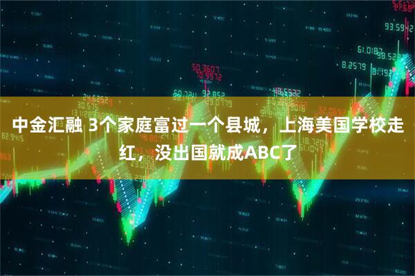 中金汇融 3个家庭富过一个县城，上海美国学校走红，没出国就成ABC了